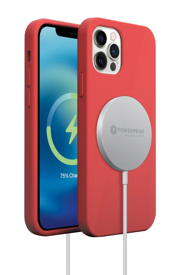 72_1655761413_89_1624564104_CASE-iPhone-12-SILICONE-magcharger-5